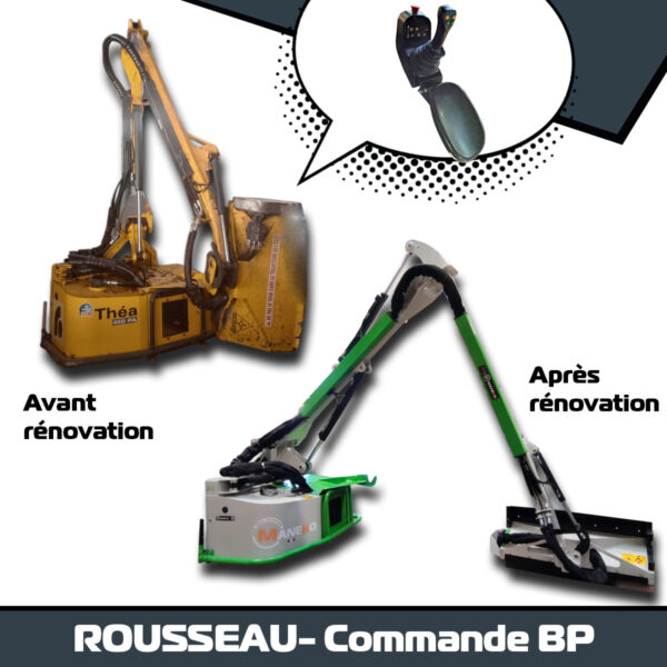 ROUSSEAU THEA 450 PA